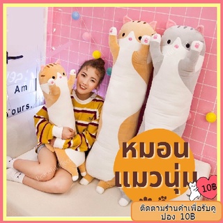 ตุ๊กตาแมว ตุ๊กตานุ่ม หมอนแมว หมอนแมวน่ารัก นุ่ม น่ารัก หมอน ตุ๊กตายัดไส้ 50/70 ซม.