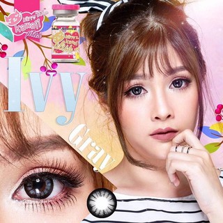 IVY Gray (1)(2) Kitty Kawaii บิ๊กอาย สีเทา เทา คอนแทคเลนส์ ตาโต เน้นขอบดำ แบ๊ว Contact lens แฟชั่น ค่าสายตา สายตาสั้น