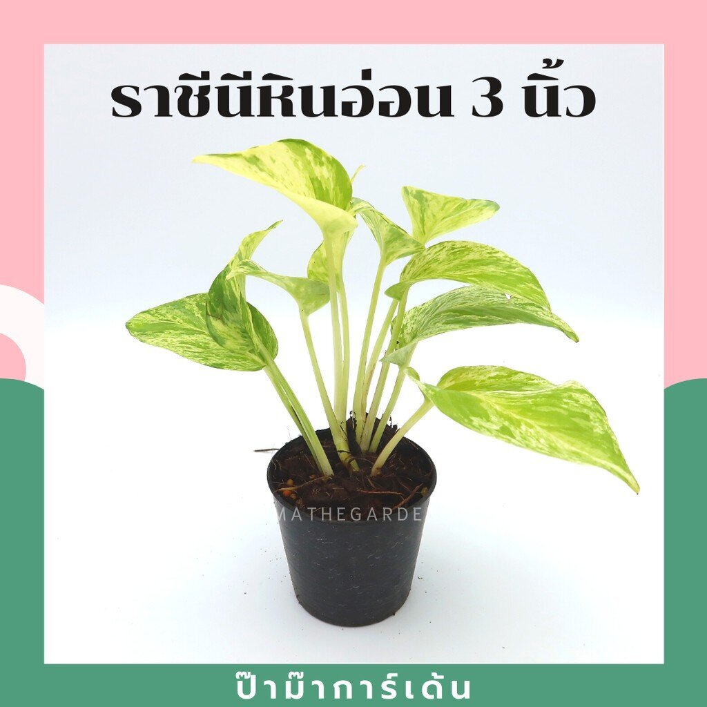 มุมมอง 3