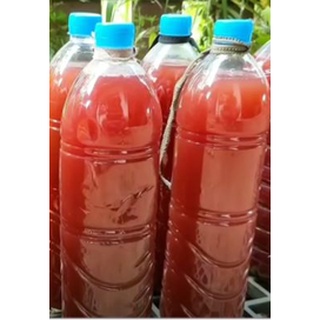 จุลินทร์ทรีย์สังเคราะห์แสง ขนาด 500 ml