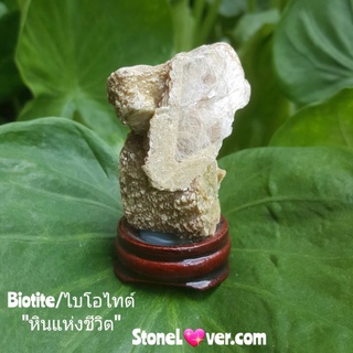 #หินธรรมชาติไบโอไทต์ #Biotite #ไบโอไทต์