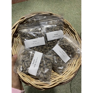 หินภูเขาไฟ 100 กรัม 10 บาท