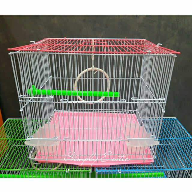 คอนนกพลาสติก ยาว21ซม. ใช้ยึดติดกรงสำหรับนก กระรอก ชูการ์ไกลเดอร์ - รูปที่ 4