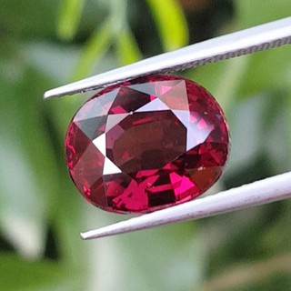 พลอยโรโดไลต์กาเน็ท (Rhodolite Garnet) 6.14 กะรัต (Cts.)