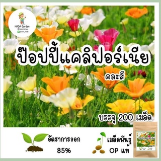 เมล็ดพันธุ์ ป๊อปปี้แคลิฟอร์เนีย คละสี 200เมล็ด