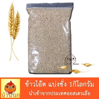 ข้าวโอ๊ต แบ่งชั่ง 1kg อาหารนก อาหารเสริมนก นำเข้าจากออสเตรเลีย