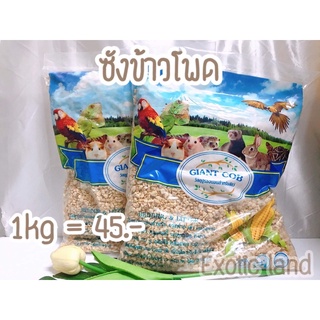 [Exotic land] ซังข้าวโพดสำหรับรองกรงสัตว์เลี้ยง