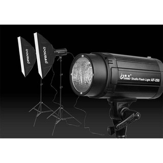 OUBAO AF-250/300 Professional Studio Flash Light