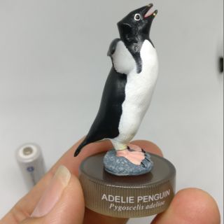 Adelie Penguin by kaiyodo