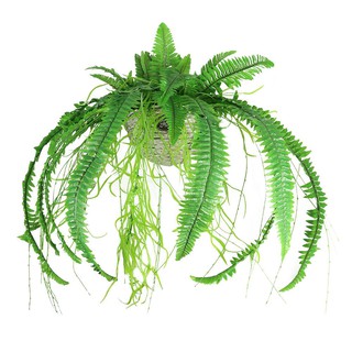 กระเช้าเฟิร์นประดิษฐ์ WACH 15 ARTIFICIAL FERN WITH HANGING BASKET WACH 15