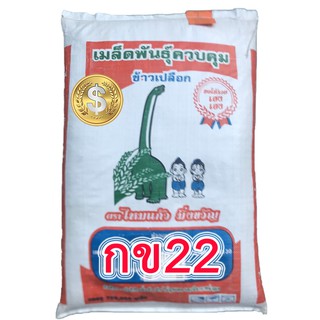 กข22 ข้าวเหนียว กข22(RD22) ข้าวเหนียวหอมต้นเตี้ยทนโรคไหม้และแมลงบั่วให้ผลผลิตสูง [บรรจุ 23 กก. จากผู่ผลิต]