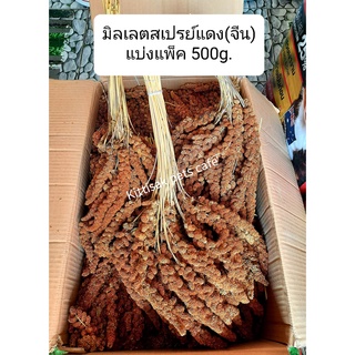 TPCมิลเลตสเปรย์แดง แบ่งแพ็ค 480g. มิลเลตช่อ ธัญพืชพลังงานสูงไขมันต่ำสำหรับนกและสัตว์ฟันแทะทุกช่วงวัย