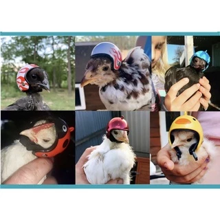 E-25 ของเล่นนกแก้ว หมวกกันน็อค นกเล็ก ไก่ ใช้ใส่ถ่ายรูป ขนาด 4.5*4*3.5cm