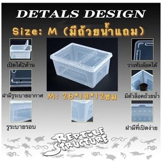 Reptile Box กล่องเลี้ยงสัตว์เล็ก สัตว์เลื้อยคลาน สัตว์เล็ก ผสมพันธุ์สดกล่อง สำหรับ แมงมุม ตุ๊กแก ฮอร์นฟรอก ตะขาบ แมงป่อง