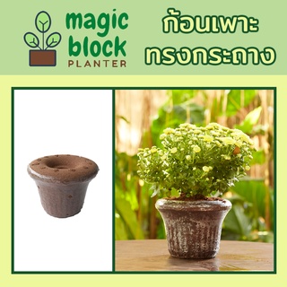 Magicblock กถ.- 4 ก้อนเพาะมหัศจรรย์ทรงกระถาง ขนาด กว้าง 18.5 x สูง 14 ซม