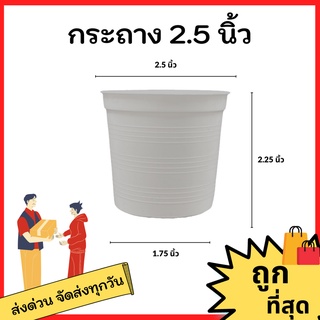 กระถางต้นไม้ กระถาง กระถางต้นไม้พลาสติก กระถางแคคตัส ขนาด 2.5 3 4 5 6 8 นิ้ว (สีขาว)