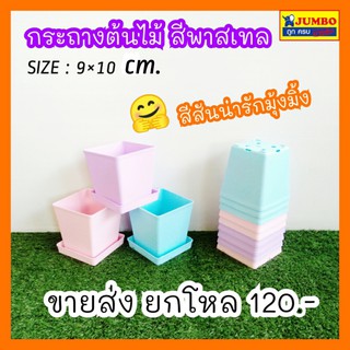 กระถางต้นไม้. สีหวานนนน. น่ารัก ขนาด. 9x10 cm (((ขายส่งยกโหล 12. ใบ 120.)))-