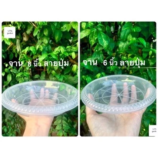 Little จานรองกระถางต้นไม้ 10 นิ้ว 8 นิ้ว 6 นิ้ว 12 นิ้ว 15 นิ้ว