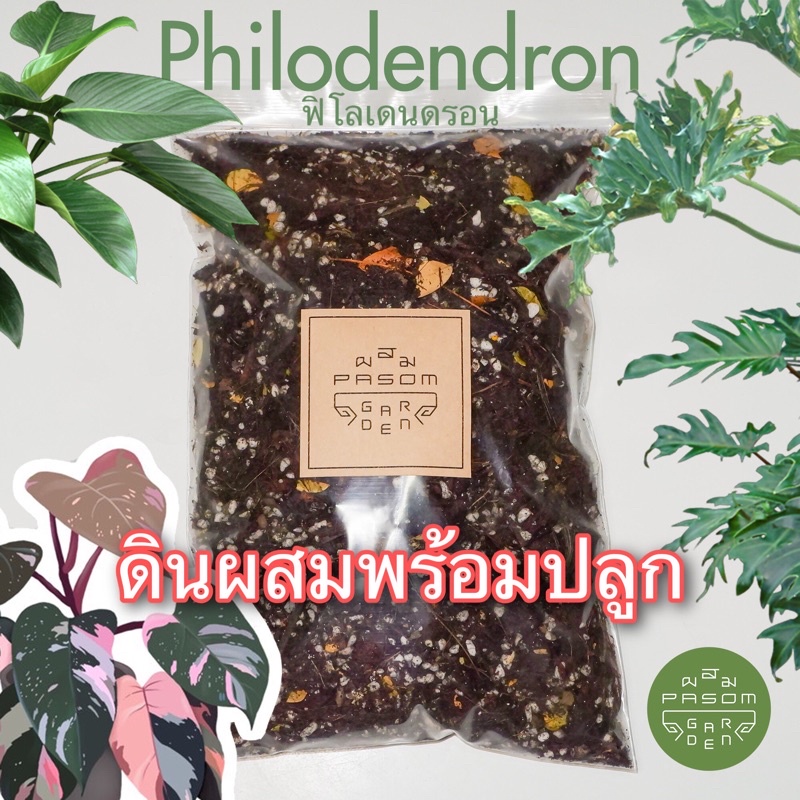 ดินผสมพร้อมใช้ สูตร 5 ฟิโลเดนดรอน(Philodendron) , พลู/อิพิ (Epipremnum) Pasom Garden