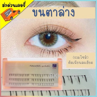 ขนตาล่าง ขนตาปลอม รุ่นในตำนาน