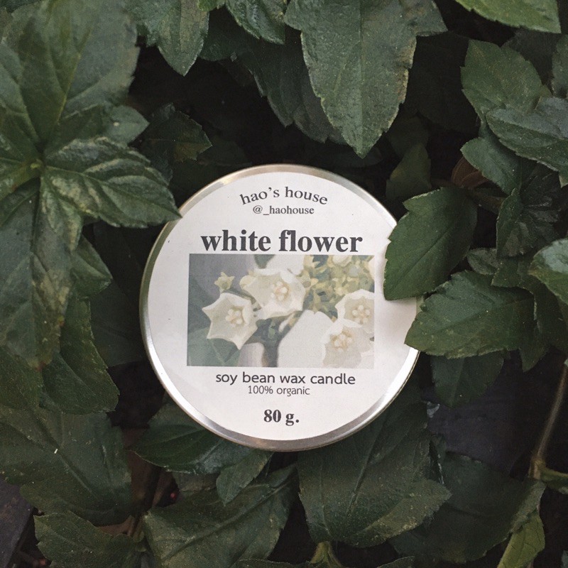 soy wax candle : white flower 🤍🕯 เทียหอมไขถั่วเหลือง