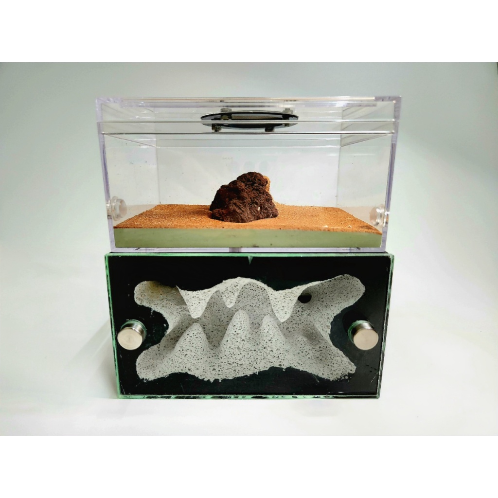 หัตถกรรมใต้หิน Formicarium - Ant Farm Handcrafted Formicarium Ant Nest Formicarium The Ant Shop .