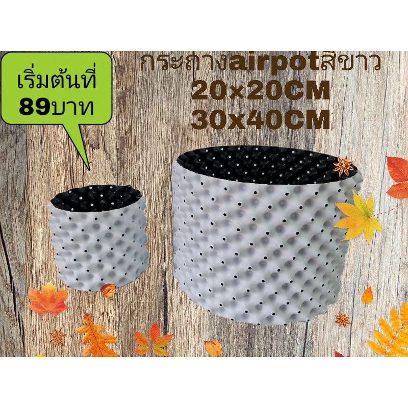 กระถาง air pot สีขาว กระถางที่มีรูให้อากาศเข้าเพื่อให้รากได้อ๊อกซิเจนเพิ่มพื้นที่ของราก ช่วยป้องกันรากเน่าเเละโรคทีพืช