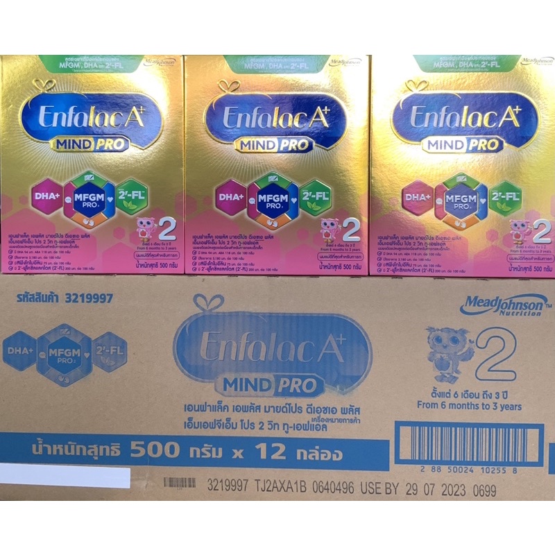 [ขายยกลัง-12กล่อง] นมผง เอนฟาแล็ค เอพลัส มายด์โปร ดีเอชเอ พลัส สูตร 2 500 ก ขายยกลัง Enfalac เอนฟาแล็คสูตร2