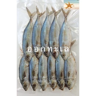 ปลาทูหอมขาว 🐟 แม่กลอง เค็มน้อยกว่าปลาทูหอม แพ็คละ 5 ตัว 50 บาท(อ่านลายละเอียดก่อนสั่ง)