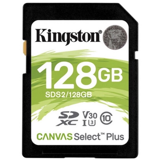 Memory card Kington SD2/128GB