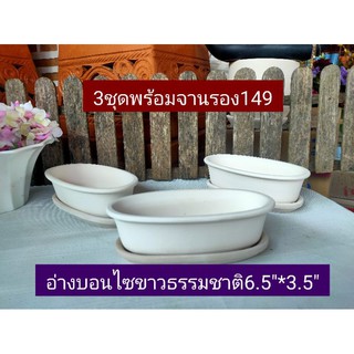 อ่างบอนไซดินเผา ทรงรี ขาวธรรมชาติ พร้อมจานรอง 6.5"*3.5" 3 ชุด 149