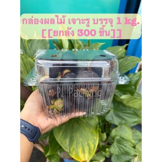 [[ยกลัง]] กล่องใส่ผลไม้เจาะรู บรรจุ 1 KG. ((มังคุด))/300 ชิ้น**อ่านรายละเอียดก่อนสั่ง**