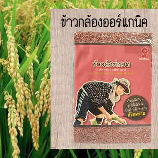 ข้าวสังข์หยด ข้าวกล้องสังข์หยดขนาด1kg ราคา135บาทปลูกแบบออแกนิคไม่ใช้สารเคมี หอมนุ่มน่าทาน ตราสยามปราณา