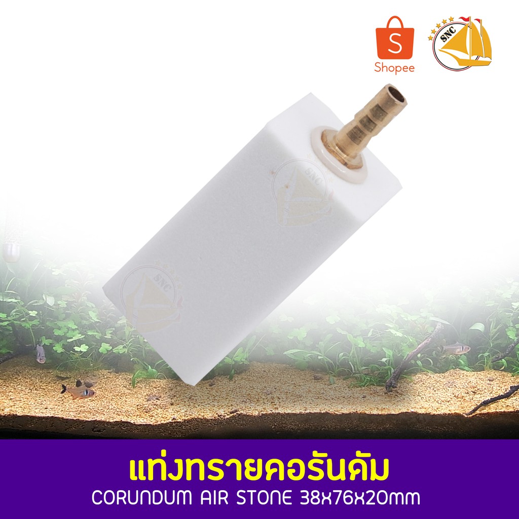 My Image 14