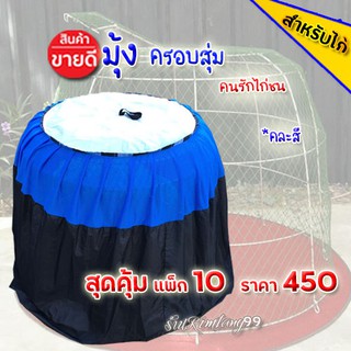 มุ้งไก่ชน **(แพ็ก 10 หลัง) ผ้าคลุมสุ่มไก่ **ผ้าร่มคละสี ครอบสุ่มไก่ อุปกรณ์ไก่ชน มุ้งครอบสุ่มไก่