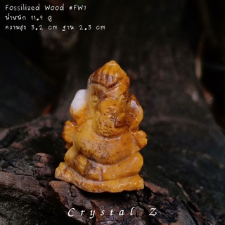 ไม้กลายเป็นหิน | Fossilized Wood #FW7 🌳#แกะสลักรูปพระพิฆเนศ