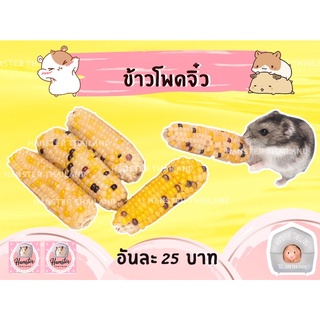 💖Hamsterthailand💖 ข้าวโพดจิ๋ว ขนมสำหรับสัตว์เลี้ยง ขนมลับฟัน ที่ลับฟัน เม่นเเคระ ดอเม้าท์ แฮมสเตอร์