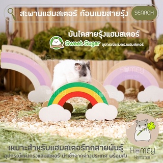 Homey Hamster 🐹☘️ บันไดแฮมสเตอร์ ☁️🌈 Sweet Sugar บ้านหลบแฮมสเตอร์ ของแต่งกรง Hedgehog Planet niteangel tafit รองกรง หนู