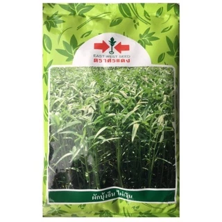 EWCOM Exp. 7/70 เมล็ดพันธุ์ ผักบุ้งจีนใบไผ่ ไผ่เงิน 1 กิโลกรัม ตราศรแดง Chinese Convolvulus