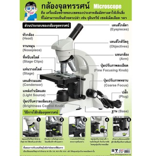 โปสเตอร์เรื่องกล้องจุลทรรศน์ #EQ-166 โปสเตอร์กระดาษอาร์ตมัน สื่อการเรียนรู้