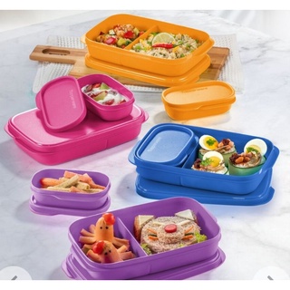 Tupperware กล่องข้าวบัดดี้ (สีใหม่ล่าสุด) มีช่องแบ่ง พร้อมตลับแบ่งเล็ก สีเข้ากันทั้งตัวและฝา(1ใบ)