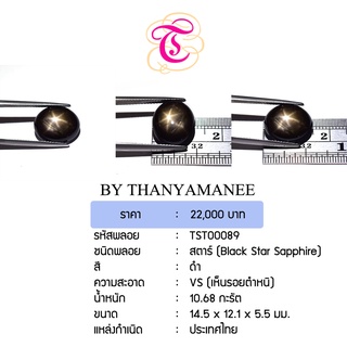 พลอยสตาร์  Black Star Sapphire ขนาด  14.5x12.1x5.5 มม. พลอยแท้ มีใบรับรอง