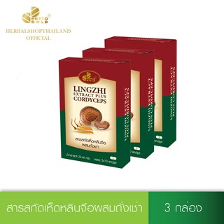 [3 กล่อง ราคาพิเศษ] PHYTO GOLD สารสกัดเห็ดหลินจือผสมถั่งเช่า  (3 x 10 แคปซูล/กล่อง)