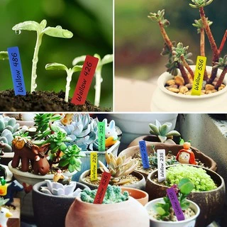 Uone Garden ป้ายชื่อต้นไม้แพ็คละ 10x2cm PVC สำหรับตกแต่งสวน 100 ชิ้น อุปกรณ์ตกแต่งสวน จัดสวน T010A