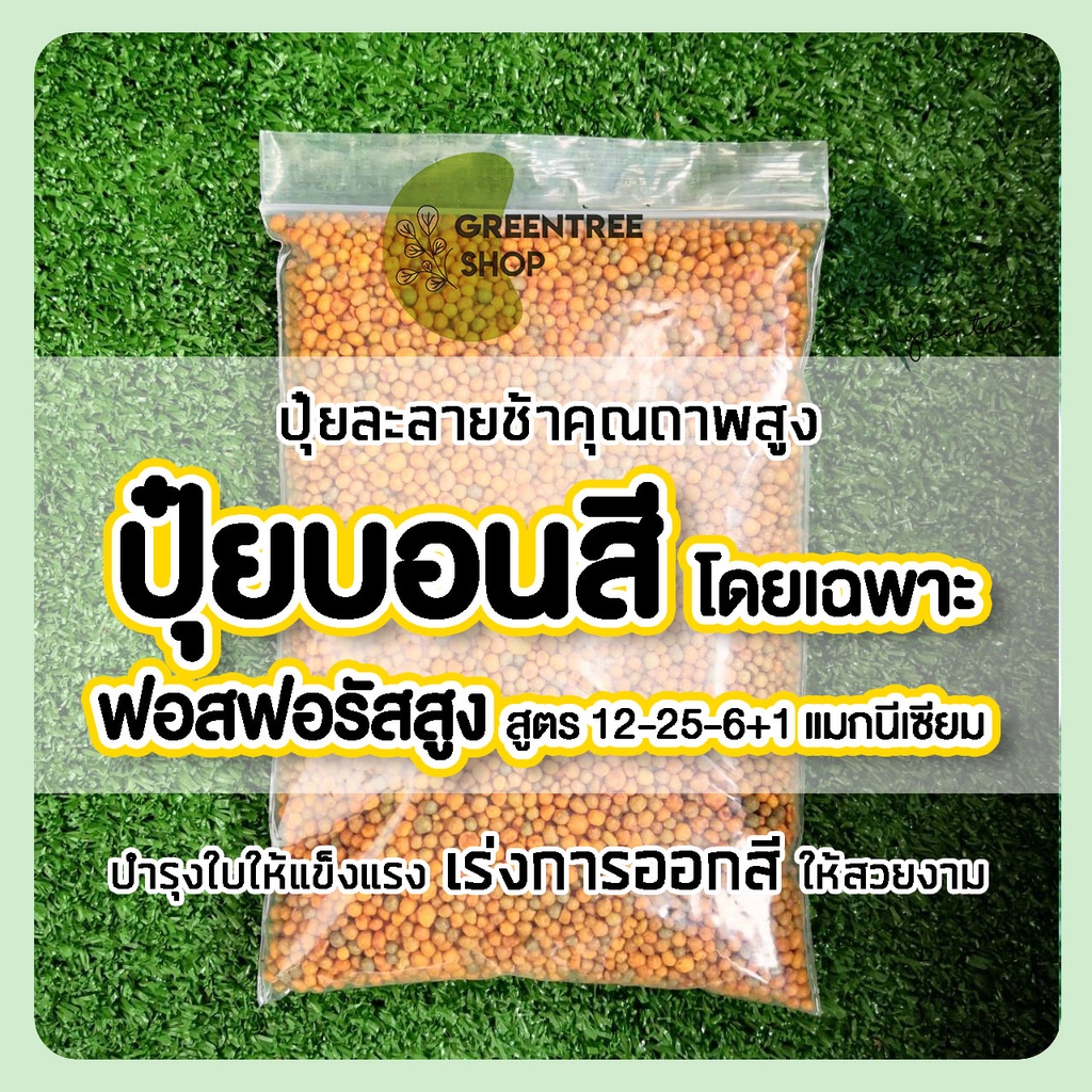 ปุ๋ยละลายช้า ออสโมโค้ท สูตรเร่งดอก เร่งสี เหมาะสำหรับ บอนสี ไม้ดอก แคคตัส