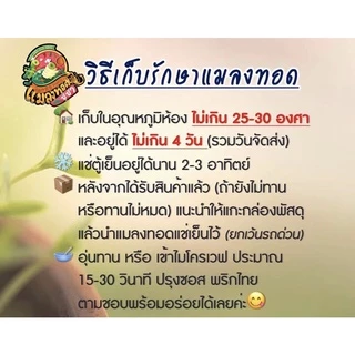 รถด่วนทอด หนอนไม้ไผ่ แมลงทอดซู่ซ่า