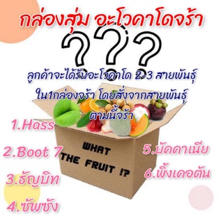 🎁กล่องสุ่มอะโวคาโดเจ้าแรกในช๊อปปี้🥑สนใจแล้วกดอ่านกดสั่งได้เลยจร้า