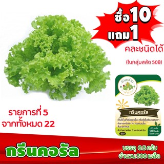 [ซื้อ10แถม1 + ฟรีคู่มือ] เมล็ดพันธุ์ กรีนคอรัล GREEN CORAL 0.5กรัม (ประมาณ 500เมล็ด) ทำมะชาดฟาร์ม ผักสลัด เมล็ดพันธุ์