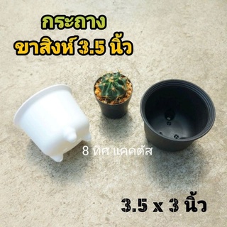 กระถาง ขาสิงห์ กลาง // กด 50 ใบ 620 บาท -- กระถาง 3.5 นิ้ว -- กระถางพลาสติก กระถางแคคตัส กระบองเพชร