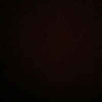 Profile fony0990